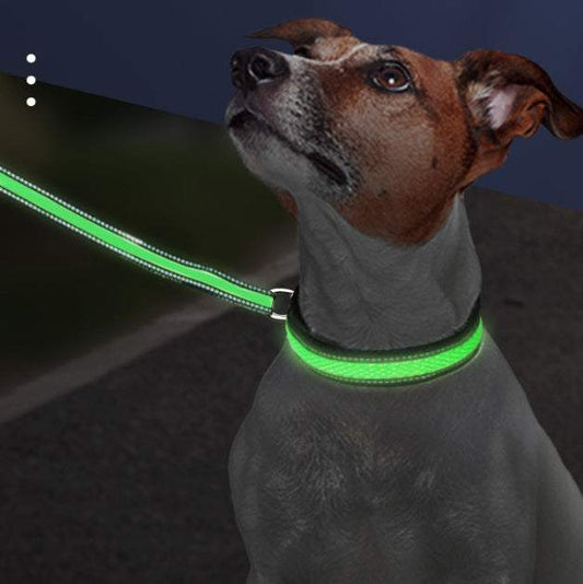 LED Luminous Nylon Mesh Pet Collar